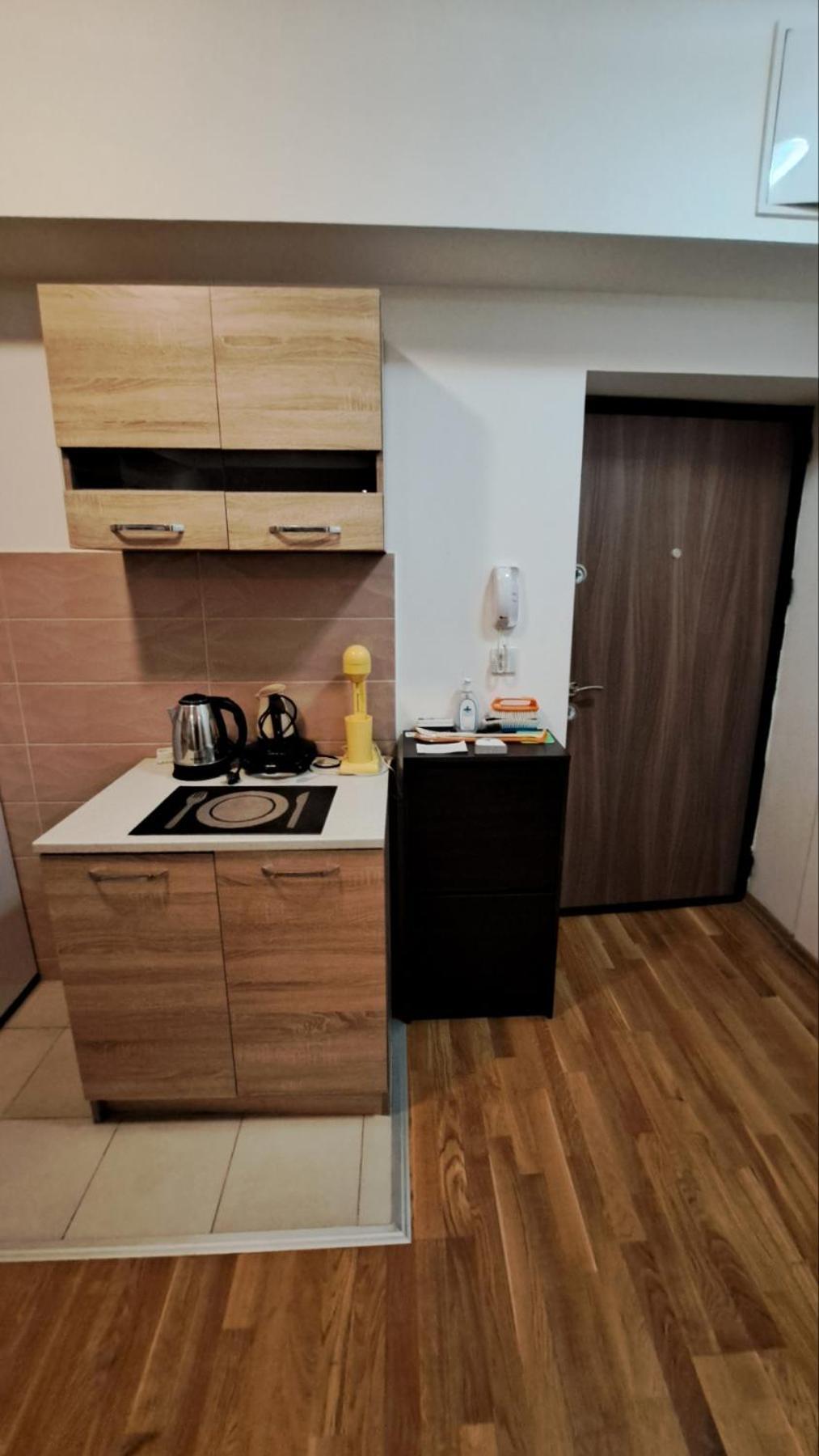 Luxury Apartment Nefertiti スコピエ エクステリア 写真
